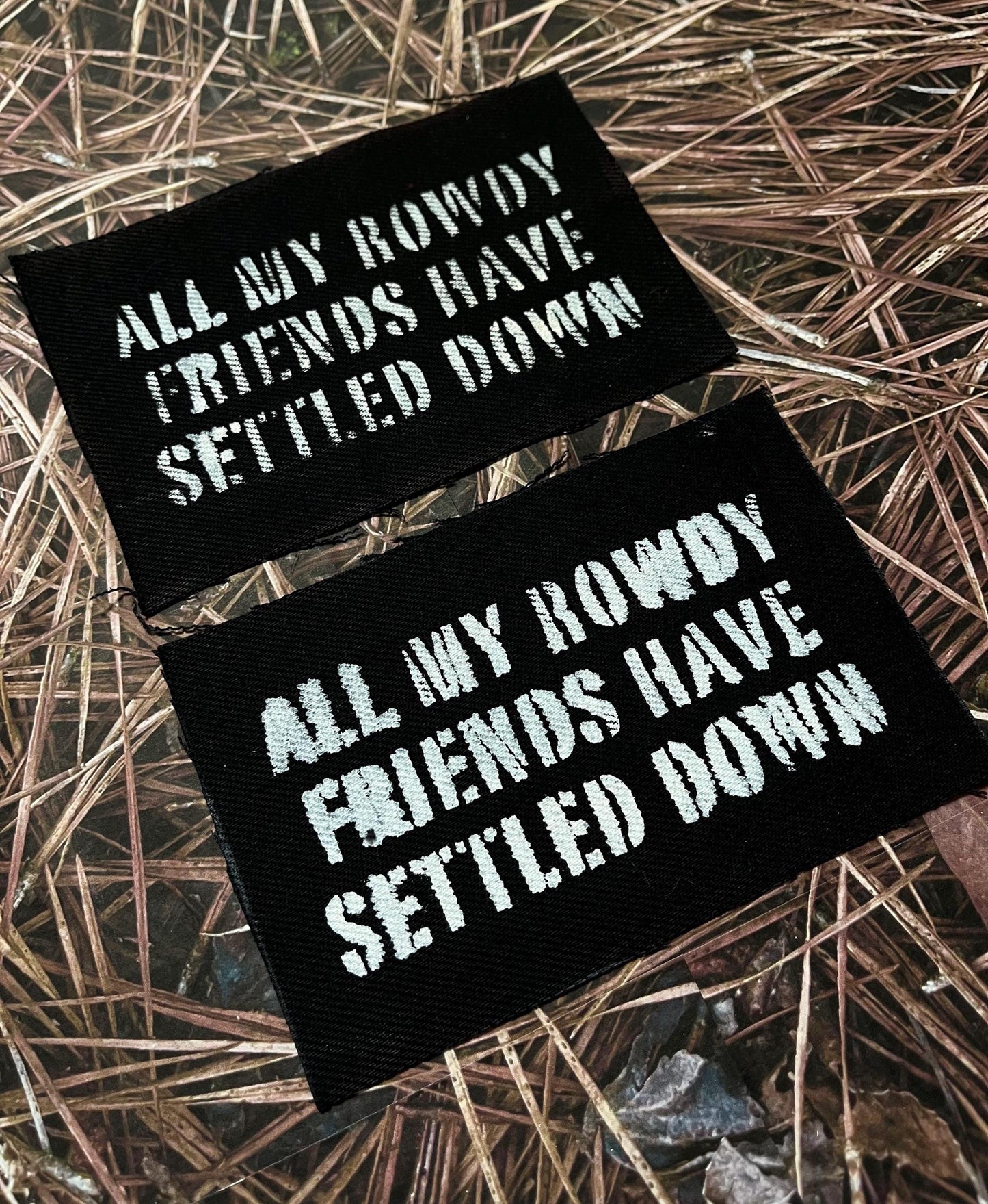All My Rowdy Friends Hank Jr Patch / Raw Edge / Sew On