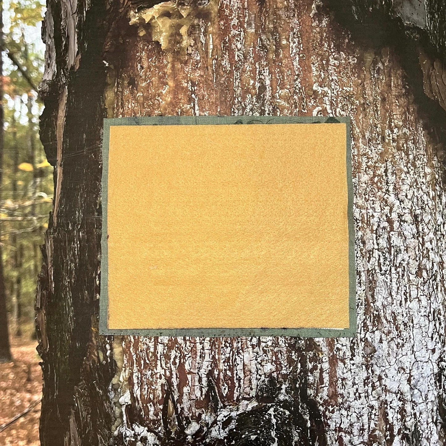 Don’t Let The Bastards Get You Down / Cross Stitched Patch / Raw Edge / Sew On