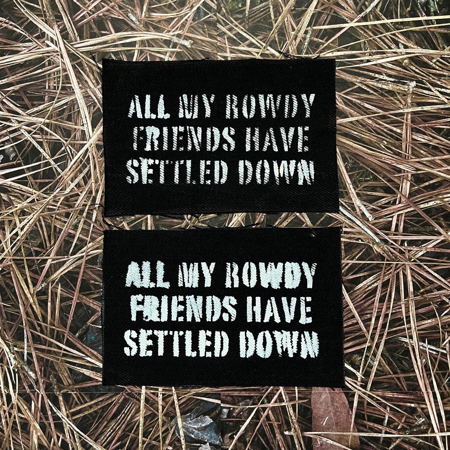 All My Rowdy Friends Hank Jr Patch / Raw Edge / Sew On