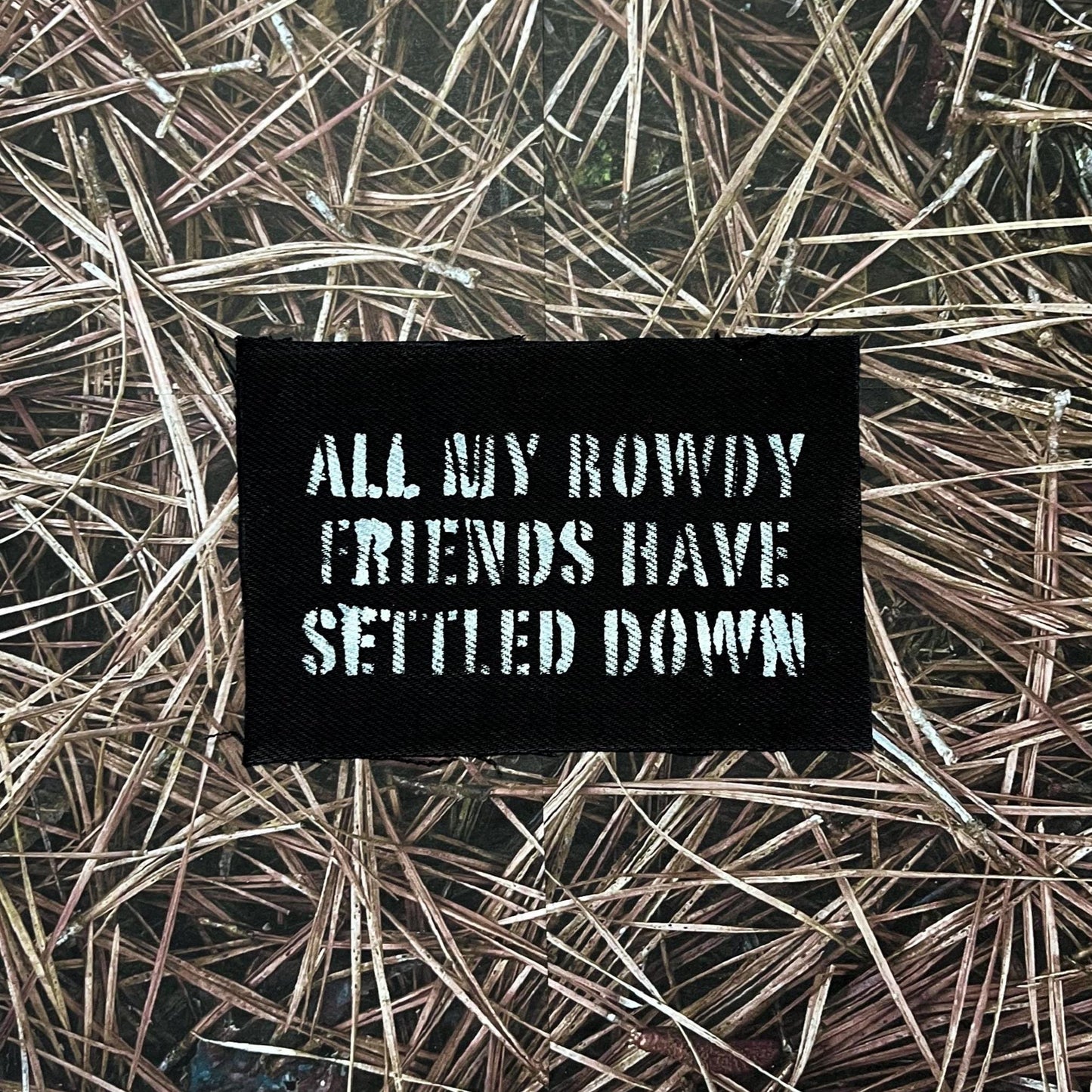 All My Rowdy Friends Hank Jr Patch / Raw Edge / Sew On