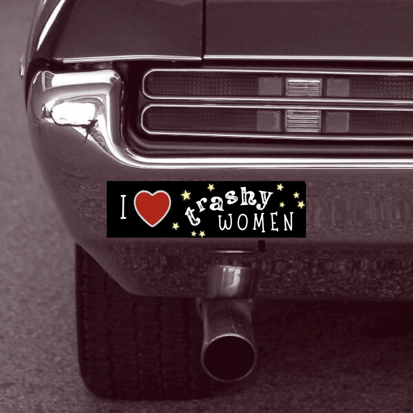 I Love Trashy Women / Bumper Sticker